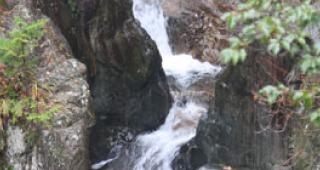 豊かな水源