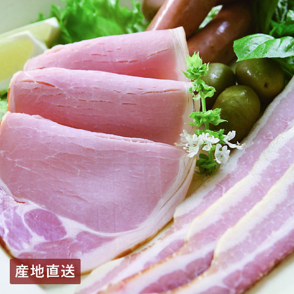 【送料無料】産地直送│飛騨ハム ハム・ソーセージセット 【岐阜県】
