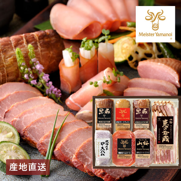 【送料無料】産地直送│マイスター山野井 黒豚焼豚２種と合鴨セット 【鹿児島県】