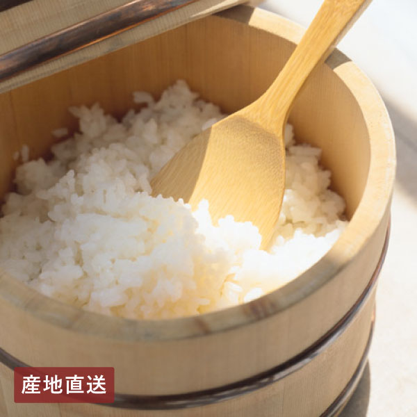 【送料無料】産地直送│熊本県産 森のくまさん 5kg 【熊本県】