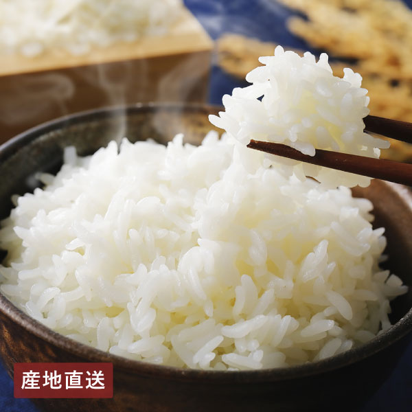 【送料無料】産地直送│滋賀県産みずかがみ 5kg 【滋賀県】