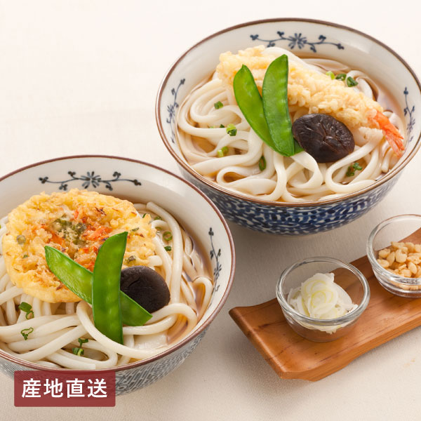 【送料無料】産地直送│手延べ讃岐うどん詰合せ（牛肉うどん入り） 【香川県】