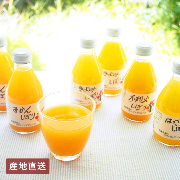 【送料無料】産地直送│伊藤農園 100％ピュアジュース5種飲み比べ（10本） 【和歌山県】