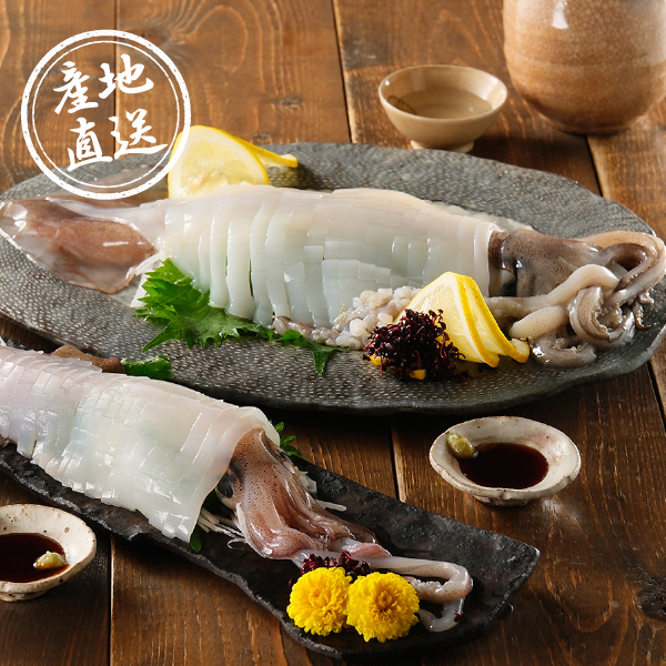 【送料無料】産地直送｜いかの食べ比べセット【佐賀県】