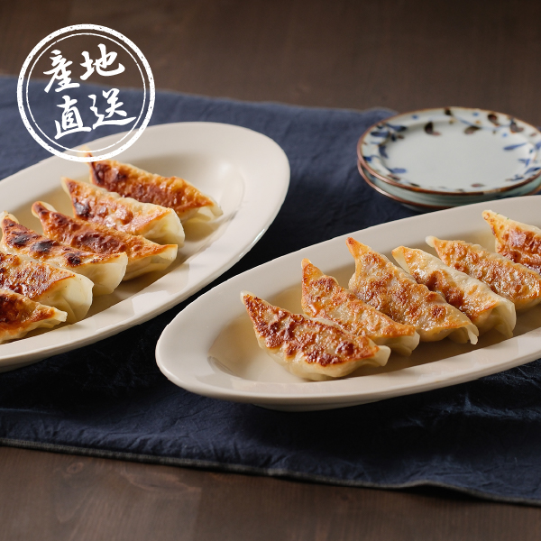 【送料無料】産地直送｜土佐を包む お山の餃子（野菜・生姜）【高知県】
