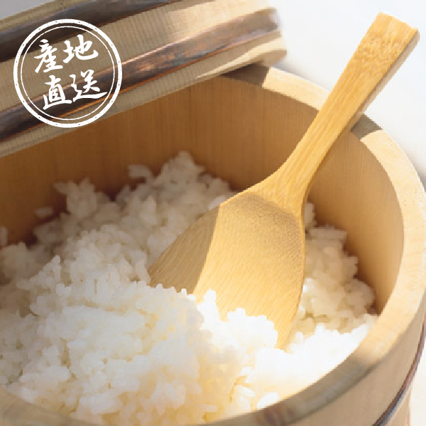【送料無料】産地直送｜熊本県産 森のくまさん４㎏【熊本県】