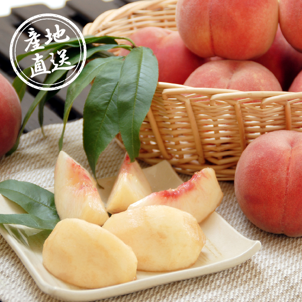 【25年8月下旬から発送・先行予約商品】産地直送グルメ│山形県産 白桃（5kg）