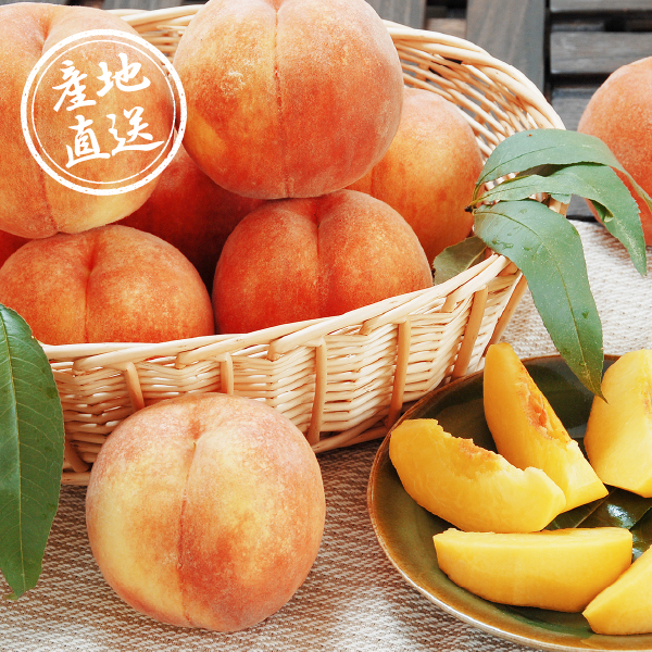 【25年8月下旬から発送・先行予約商品】産地直送グルメ│山形県産 黄金桃（3kg）