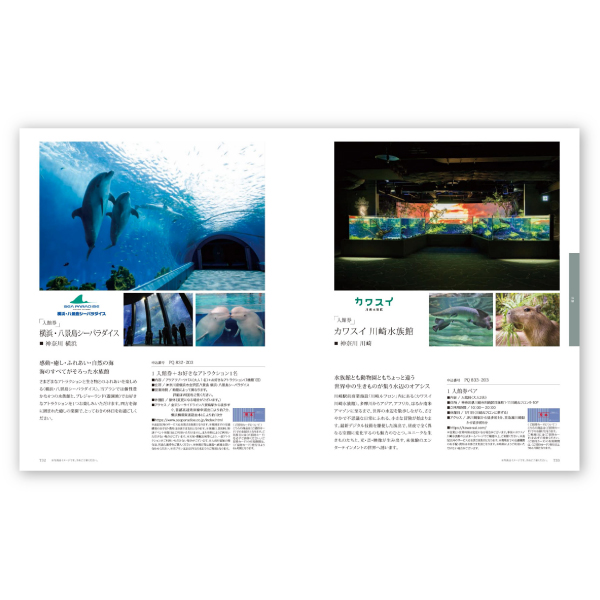 thumbnail-rb025
