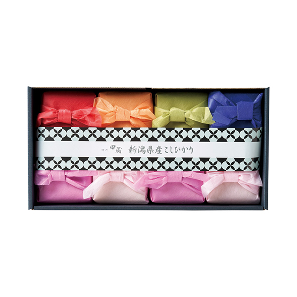 初代田蔵 新潟県産こしひかり・笹川流れ極塩ギフトセット B