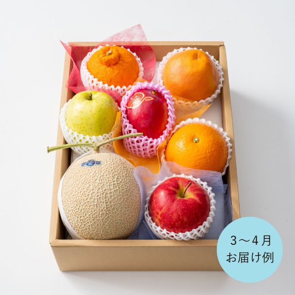 送料無料】ホシフルーツ おまかせ旬のフルーツBOX E | 内祝い・お祝い
