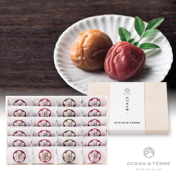 15周年記念イベントが OCEAN TERRE Premium 紀州南高梅 日本茶 セットA オーシャンテール ギフト 〈A386〉 内祝い お返し  食品 おくりもの お中元 御中元