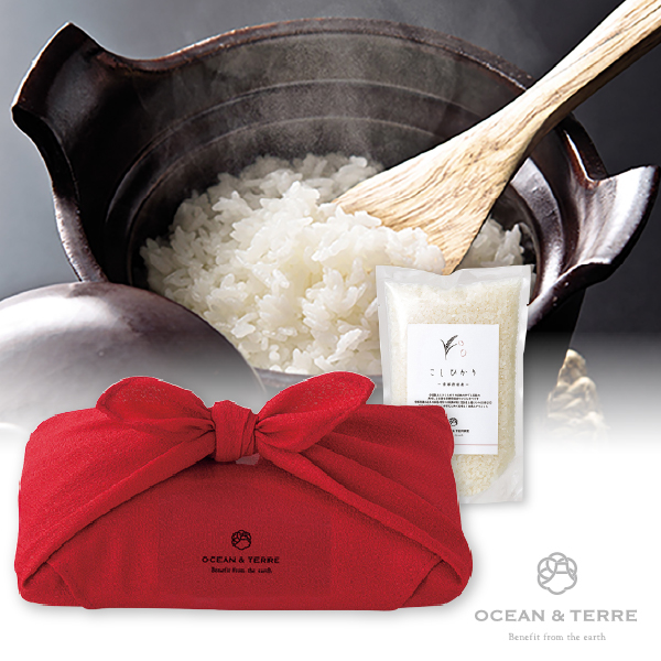 TSUTSUMI 瑞穂の恵み 京都丹後産 こしひかり